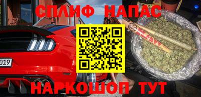 гидра Бузулук