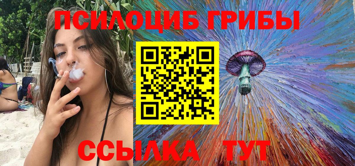 Галлюциногенные грибы прущие грибы Шебекино