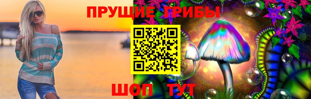 Шебекино  Псилоцибиновые грибы MAGIC MUSHROOMS  Вход с VPN 